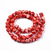 Natural Trochid Shell/Trochus Shell Beads Strands SSHEL-N032-48-A05-2