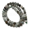 Natural Lodolite Quartz Beads Strands G-R494-A15-02-2