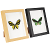 ARRICRAFT 2 Sets 2 Color Natural Wood Photo Frames DIY-AR0001-45-1