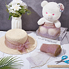 Polyester Lace Trim OCOR-WH0111-11-4