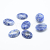 Natural Blue Spot Jasper Cabochons G-T020-18x25mm-09-1