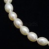 Grade AA Natural Cultured Freshwater Pearl Beads Strands PEAR-L001-A-11-2