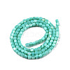 Natural Freshwater Shell Beads Strands X-SHEL-N003-33-A04-2