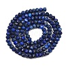 Dyed Natural Lapis Lazuli Beads Strands G-K376-B05-02-3