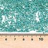 MIYUKI Delica Beads X-SEED-J020-DB2506-3