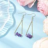 304 Stainless Steel with Natural Amethyst Dangle Earrings EJEW-JE06010-04-2