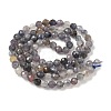 Natural Iolite Beads Strands G-G188-B04-06A-4