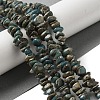 Natural Serpentine Beads Strands G-F771-C01-02-2