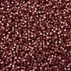 MIYUKI Delica Beads X-SEED-J020-DB2179-3