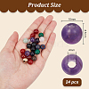 24pcs Gemstone European Beads G-OC0005-59-2