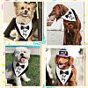 Cotton Dog's Kerchief AJEW-WH0503-008-6