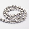 Shell Pearl Beads Strands X-BSHE-L026-05-6mm-2