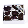 8~12Pcs Electroplated Natural Coal Quartz Geode Cornucopia Mineral Specimen G-N360-03B-1