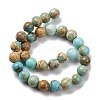 Dyed Natural Regalite/Imperial Jasper/Sea Sediment Jasper Beads Strands G-B124-C02-03-5