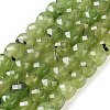 Natural Prehnite Beads Strands G-H028-A05-01-1