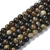 Natural Chiastolite Beads Strands G-G103-A01-01-1