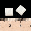 Opaque Resin Decoden Cabochons CRES-I036-13A-3