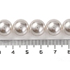 Baking Painted Pearlized Glass Pearl Round Bead Strands PEAR-H019-02E-04-5