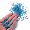 12/0 Glass Seed Beads SEED-US0003-2mm-23B-4