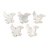 Natural Freshwater Shell Links Connector Charms SHEL-K009-08-1