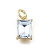 Brass Glass Charms KK-V011-36G-B-1