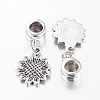 Alloy European Dangle Charms PALLOY-JF00001-02-2