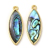 Natural Paua Shell Pendants KK-E059-13G-1