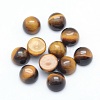 Natural Tiger Eye Cabochons X-G-P393-R25-10MM-1