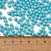 Baking Painted Glass Seed Beads SEED-C004-01H-4