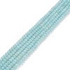 Grade A Natural Amazonite Beads Strands G-C046-01A-1