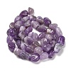 Natural Amethyst(Dyed & Heated) Beads Strands G-P497-01E-17-3