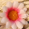 Artificial Silk Chrysanthemum Daisy Flowers Heads DIY-WH0210-03H-1