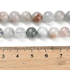 Natural Aquamarine Beads Strands LS-G-F591-29A-8mm-03-5