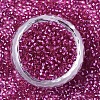 Glass Seed Beads SEED-S042-04A-03-2