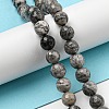 Natural Map Stone/Picasso Stone/Picasso Jasper Beads Strands G-C079-B05-02-2