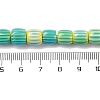 Handmade Lampwork Beads Strands X-LAMP-K041-01B-23-5