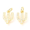 Brass Micro Pave Cubic Zirconia Charms ZIRC-O037-07G-1