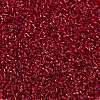 MIYUKI Delica Beads X-SEED-J020-DB0602-3