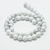 Natural Howlite Beads Strands G-T049-6mm-21-2