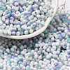 Baking Paint Glass Seed Beads SEED-F005-01A-09-1