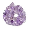 Natural Amethyst(Dyed & Heated) Beads Strands G-P497-01E-21-3