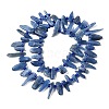 Natural Kyanite Beads Strands G-J403-02-2