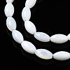 Natural Freshwater Shell Beads Strands SHEL-Q024-021-3