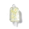 Transparent Resin Pendants RESI-D057-17-3