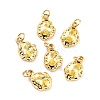 Brass Micro Pave Cubic Zirconia Pendant ZIRC-P089-19G-C-1