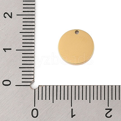 304 Stainless Steel Charms STAS-P377-04G-B-1