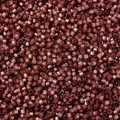 MIYUKI Delica Beads X-SEED-J020-DB2179-1