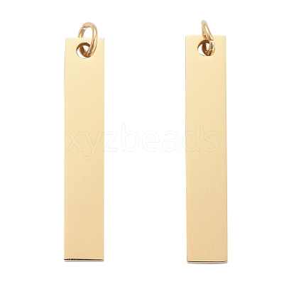 304 Stainless Steel Pendants STAS-S105-T605D-2-1