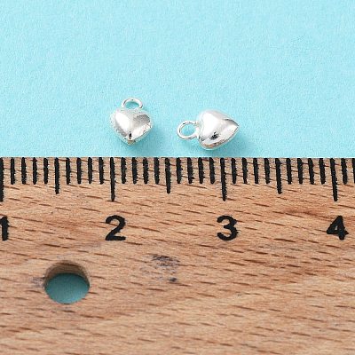 925 Sterling Silver Charms STER-H106-01D-S-1