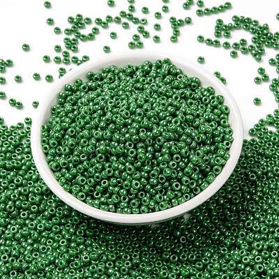 MIYUKI Round Rocailles Beads X-SEED-G008-RR0431-1